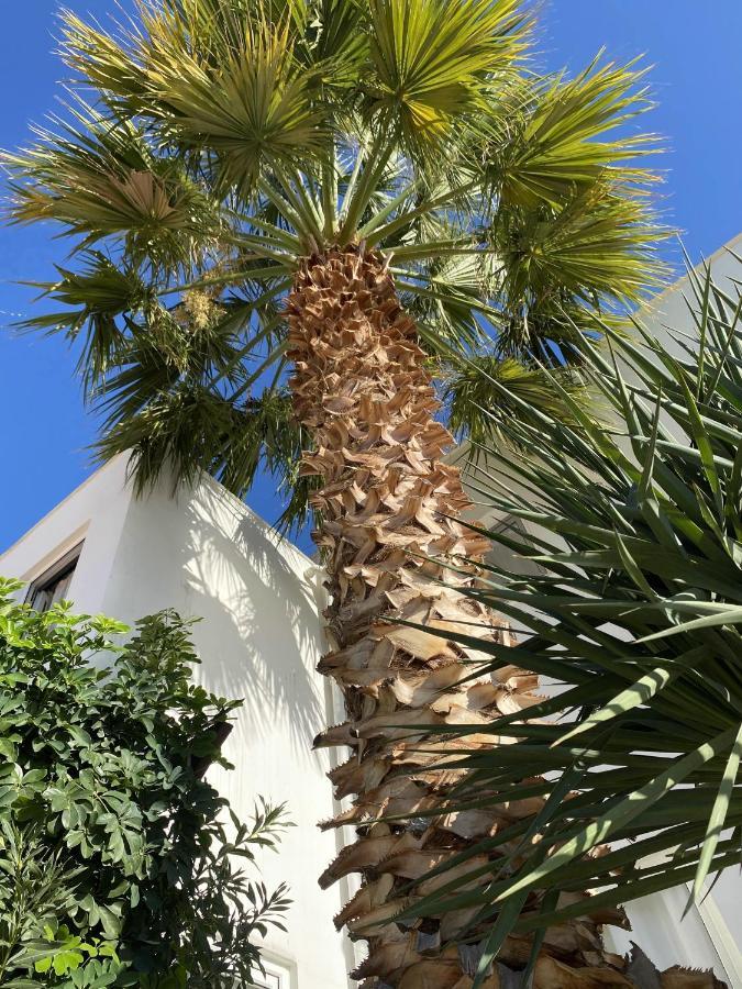 Villa Sezen Kalkan Eksteriør bilde